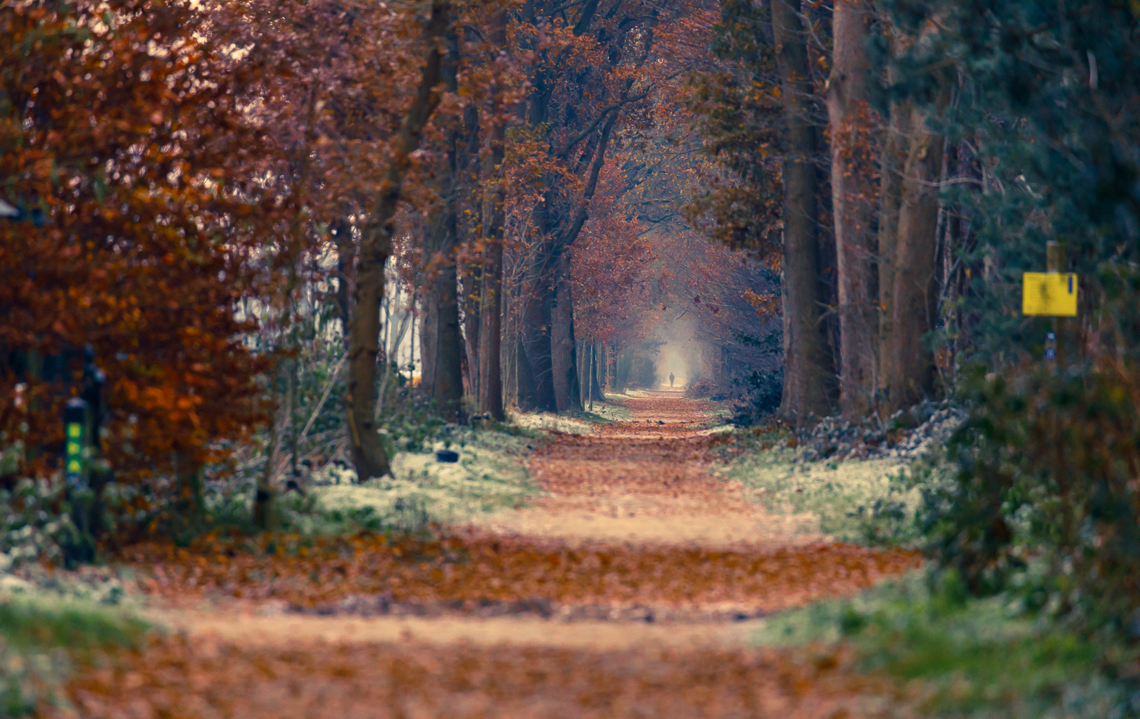 Smartphone Fotografie Wandeling