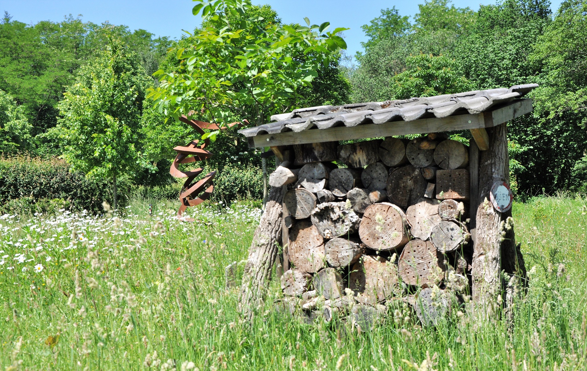 IVN Natuurexcursie Leemputten en de Nieuwe Wereld