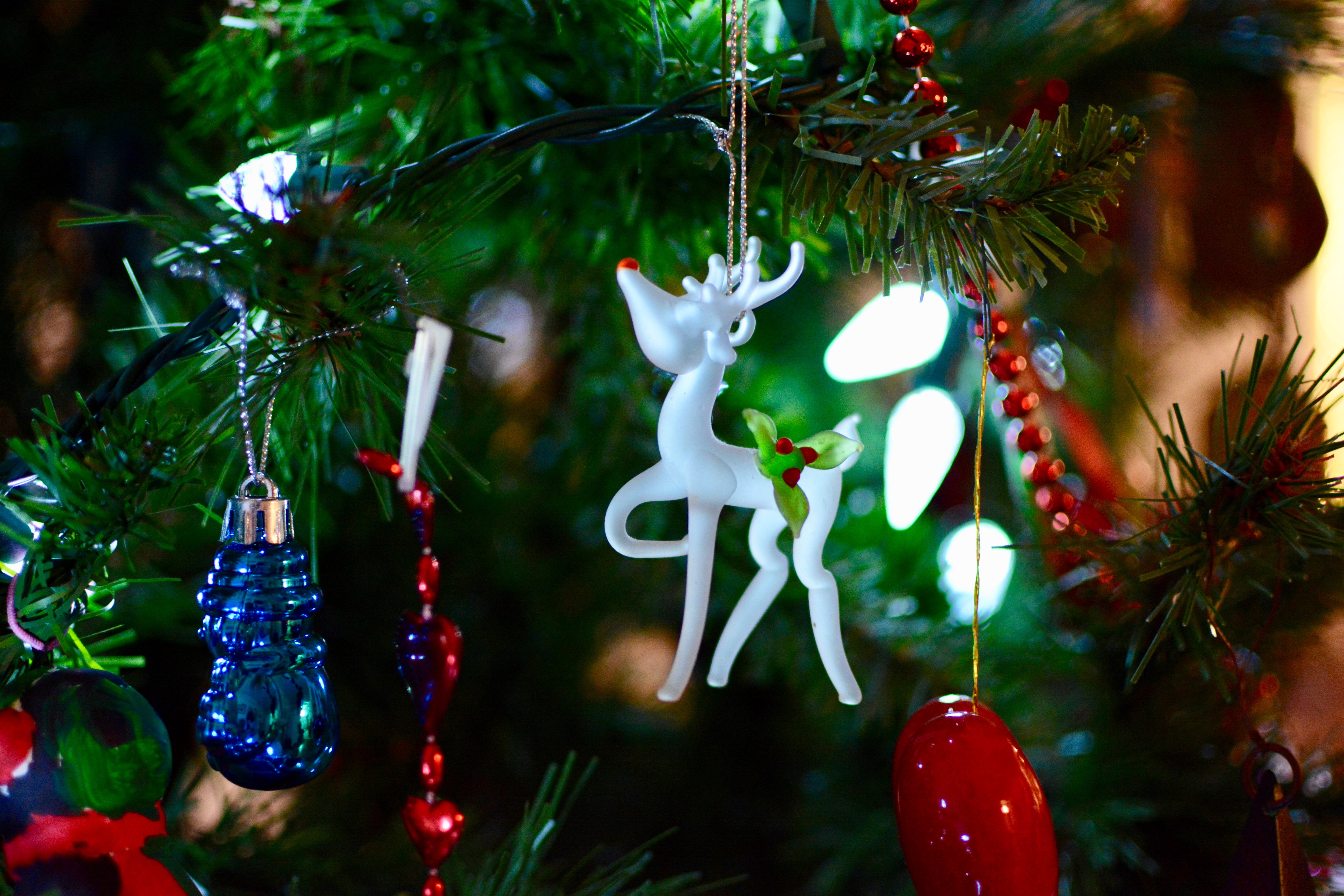 Rudolph en Frosty