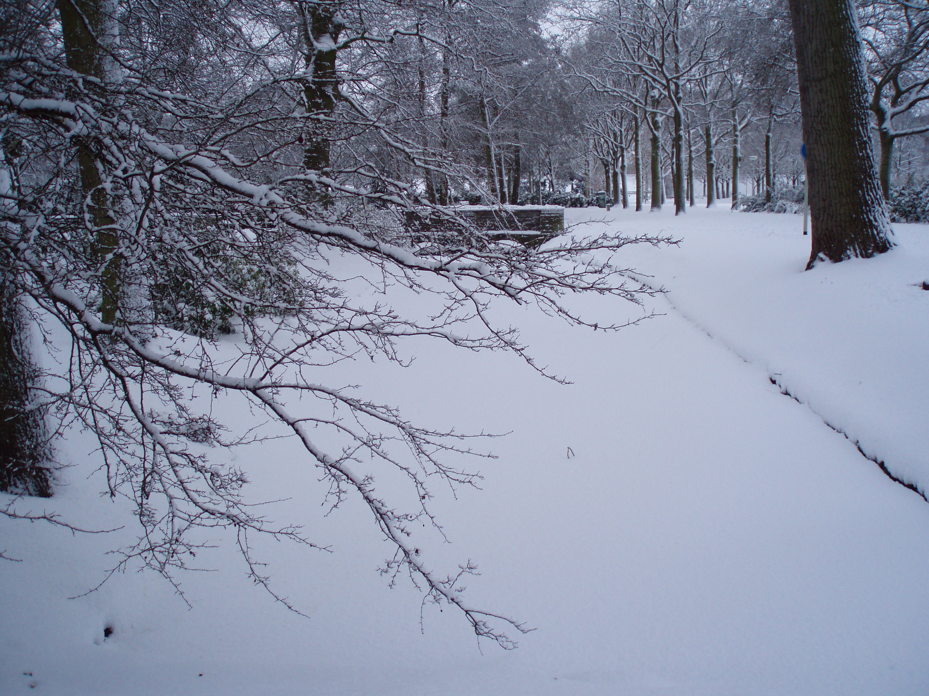 Thor Winterwandeltocht