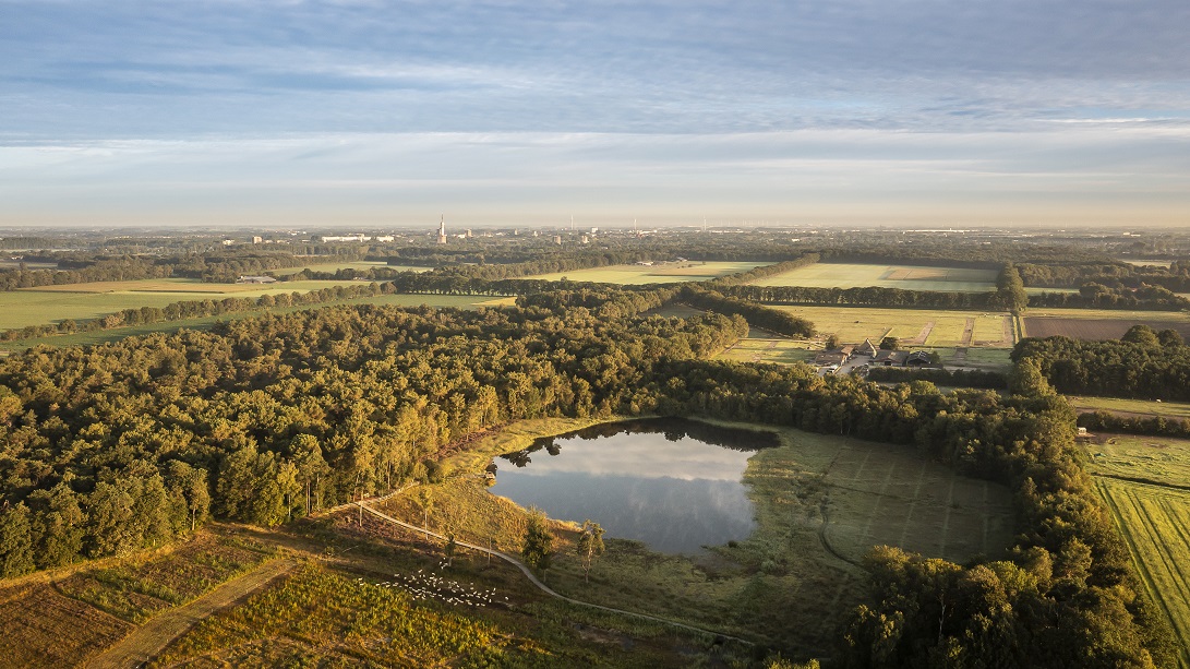 KNNV Excursie Voorjaarsbloeiers