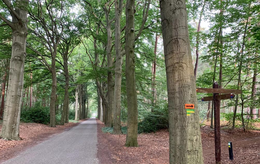 Wandeltocht Wouwse Plantage