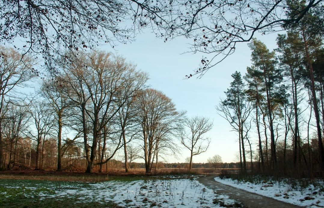 Nieuwjaars Mindful Walk