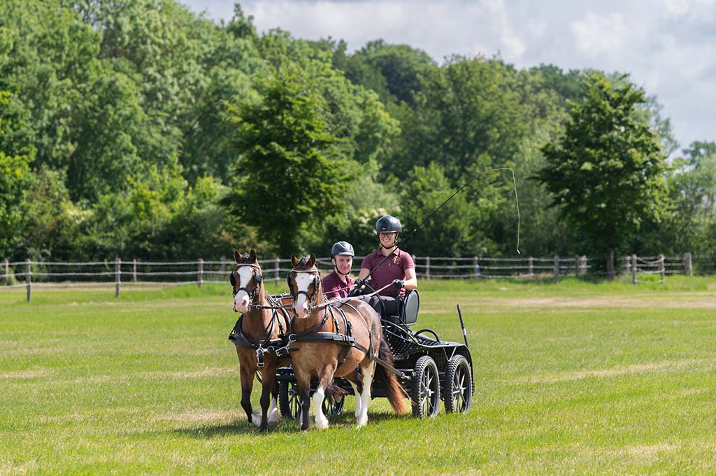 Diergeneeskunde Outdoor Event (DOE)