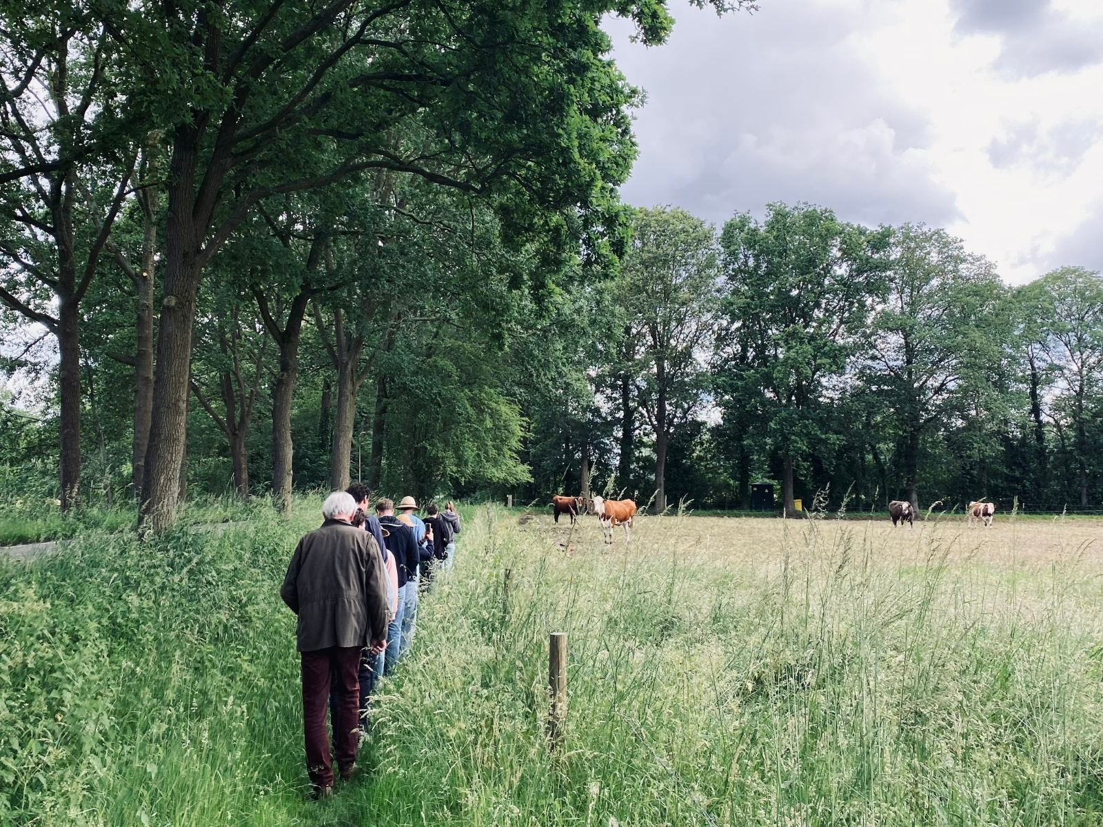 Schilderworkshop: Landschappen door het oog van de meesters