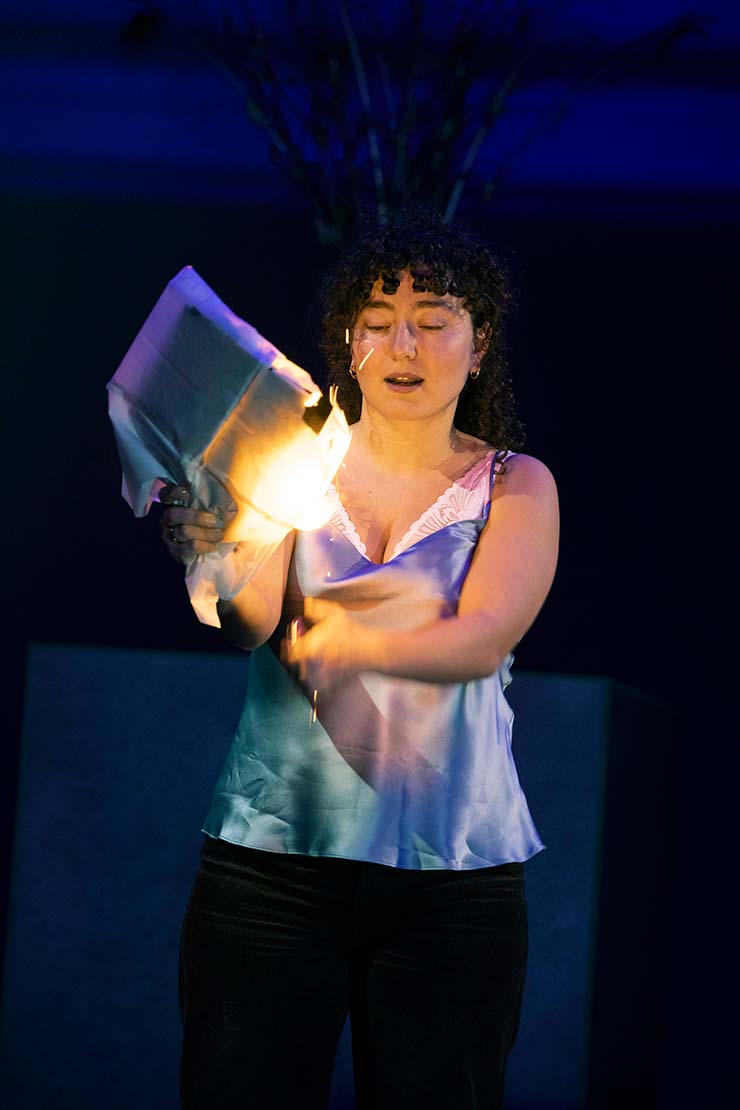 Toneelschuur Producties: Hedda