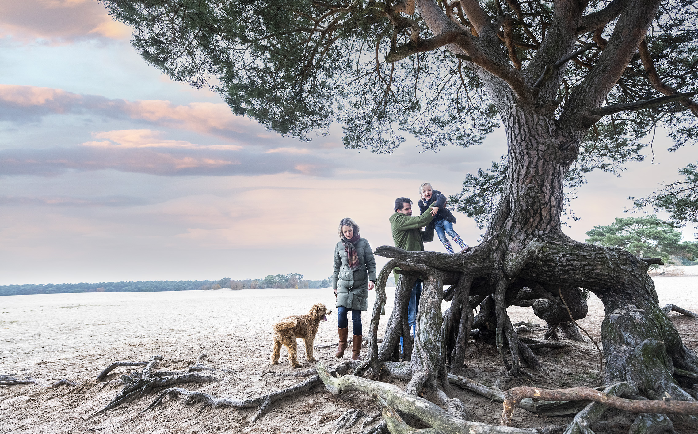 Soesterduinen | Op de Heuvelrug