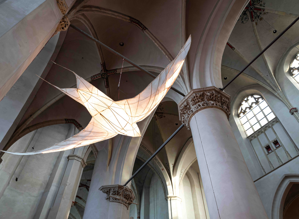 Verhalen van licht
