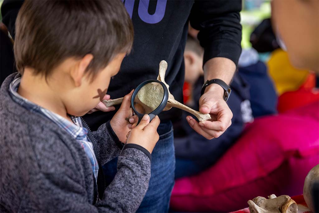 Zoek het uit! On Tour