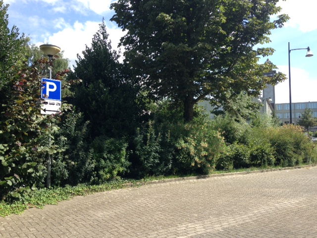 Camperplaats Helmond - Beatrixlaan — photo 3