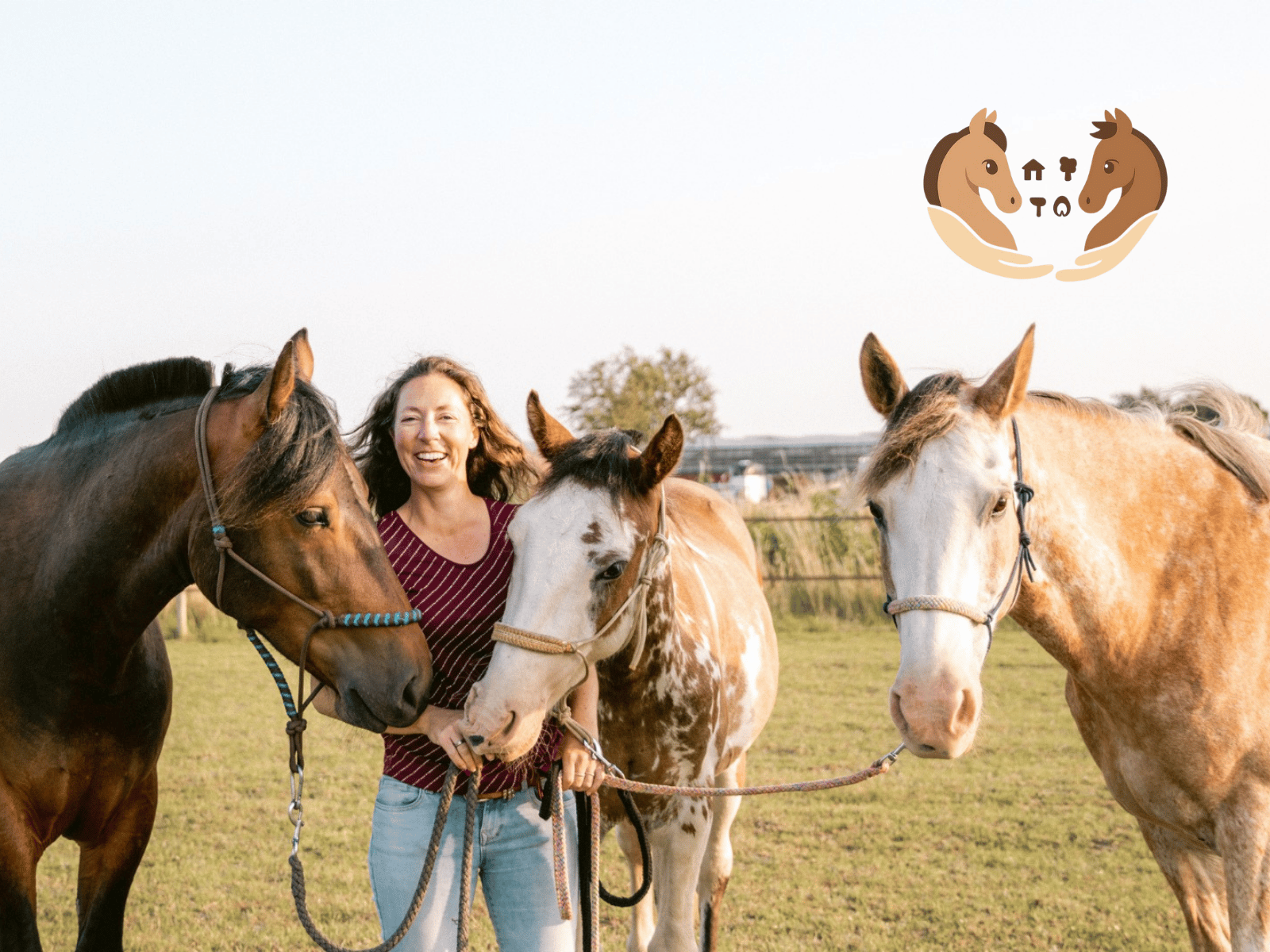 paard-welzijn-evenement-peggy-irene-photography_2227471055.png