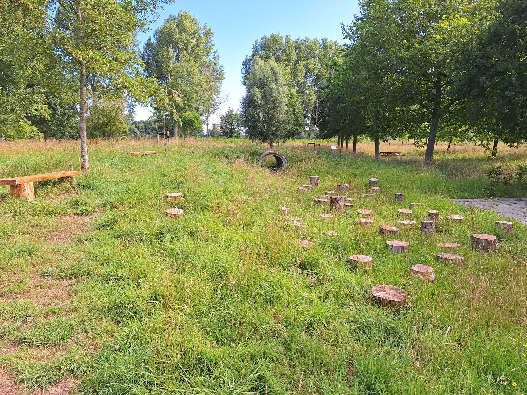 vrijheidsbos-vierpolders-voorne-putten
