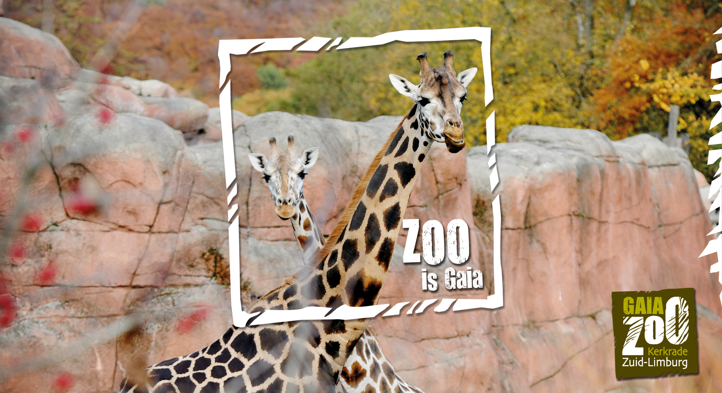 GaiaZOO | Maastricht