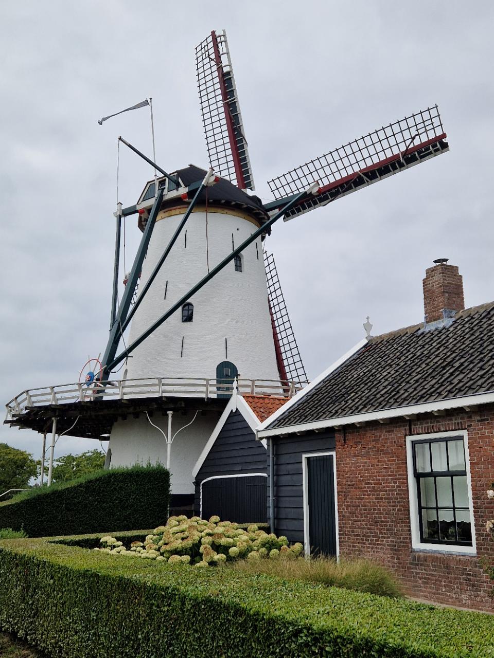 Molen en boomgaard Kloetinge