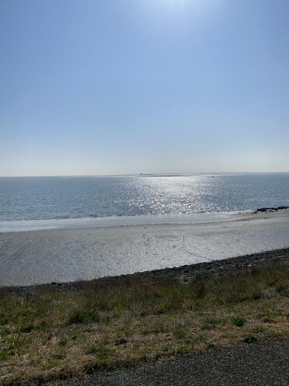 De Westerschelde