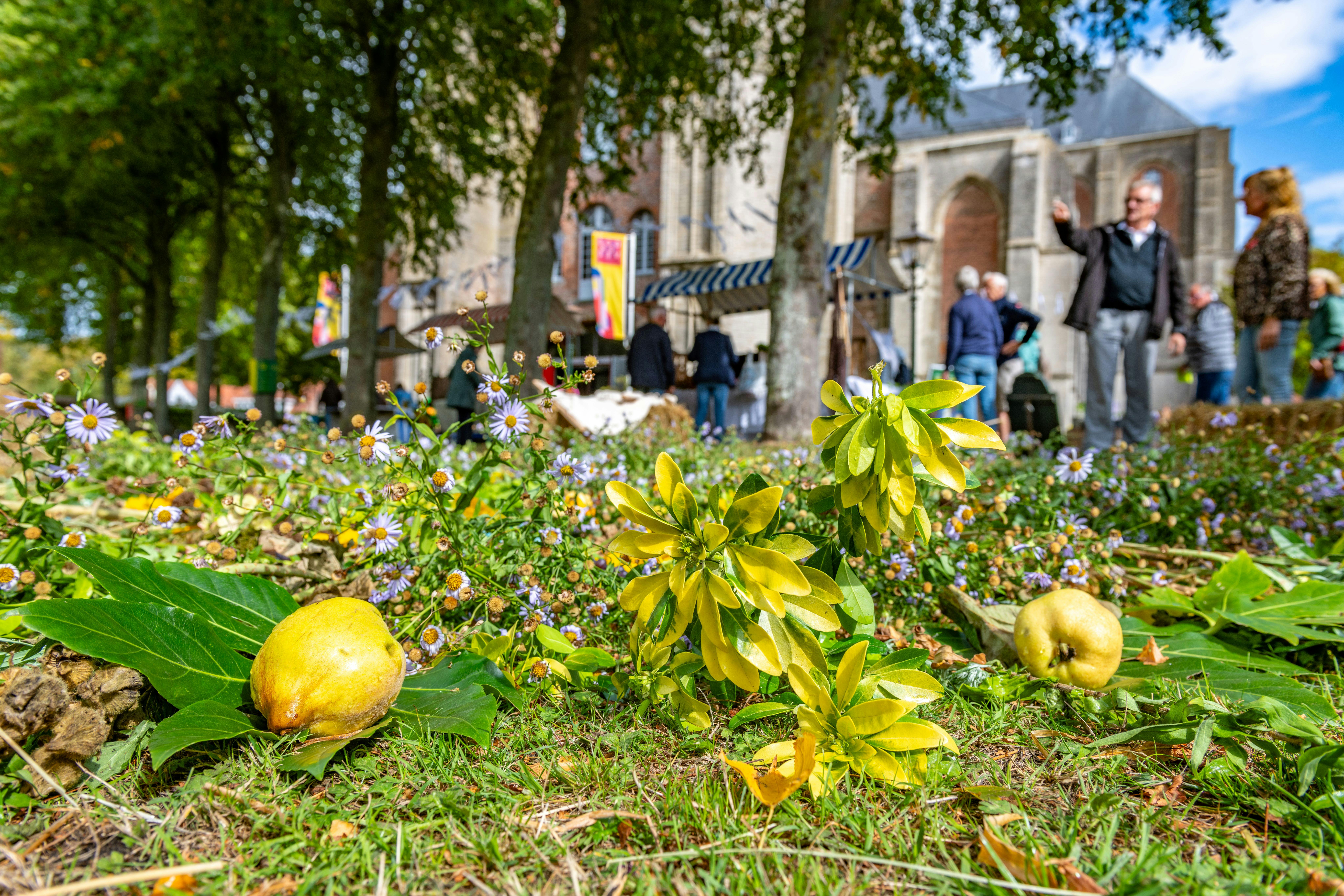 Oogstmarkt Grote Kerk Veere