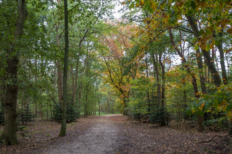 Waterwinbossen