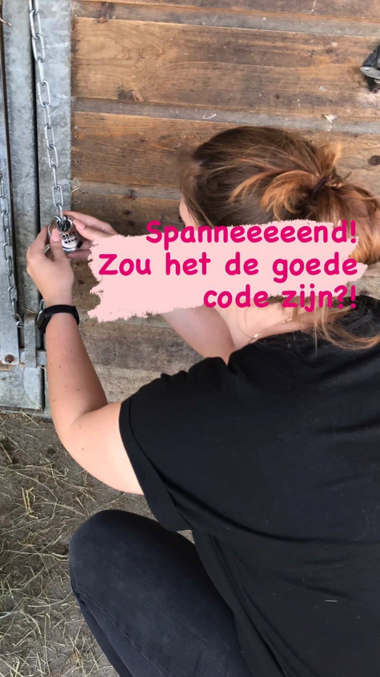 phplPphCa