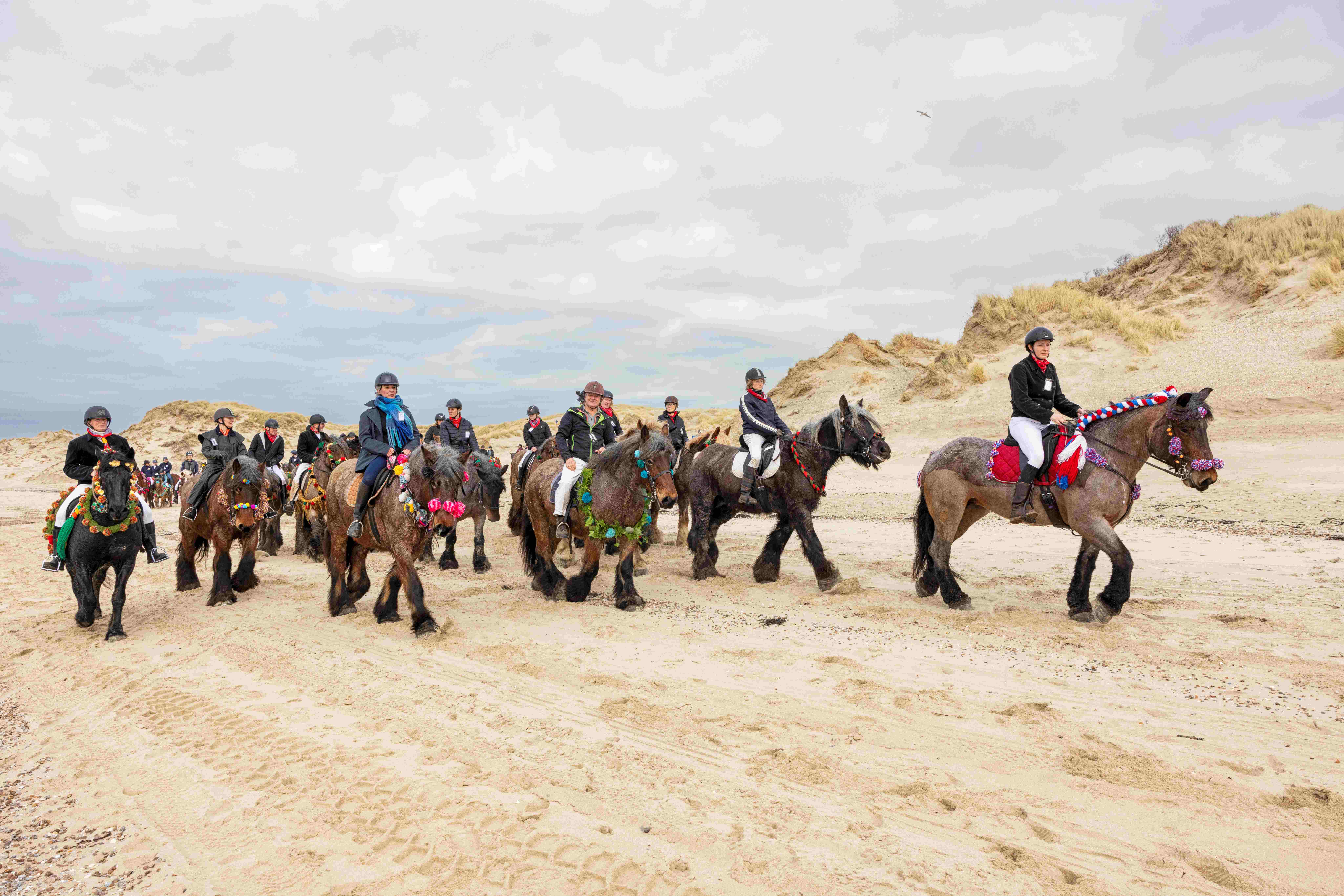 Op-Schouwen-Duiveland-Strao-Noordwelle