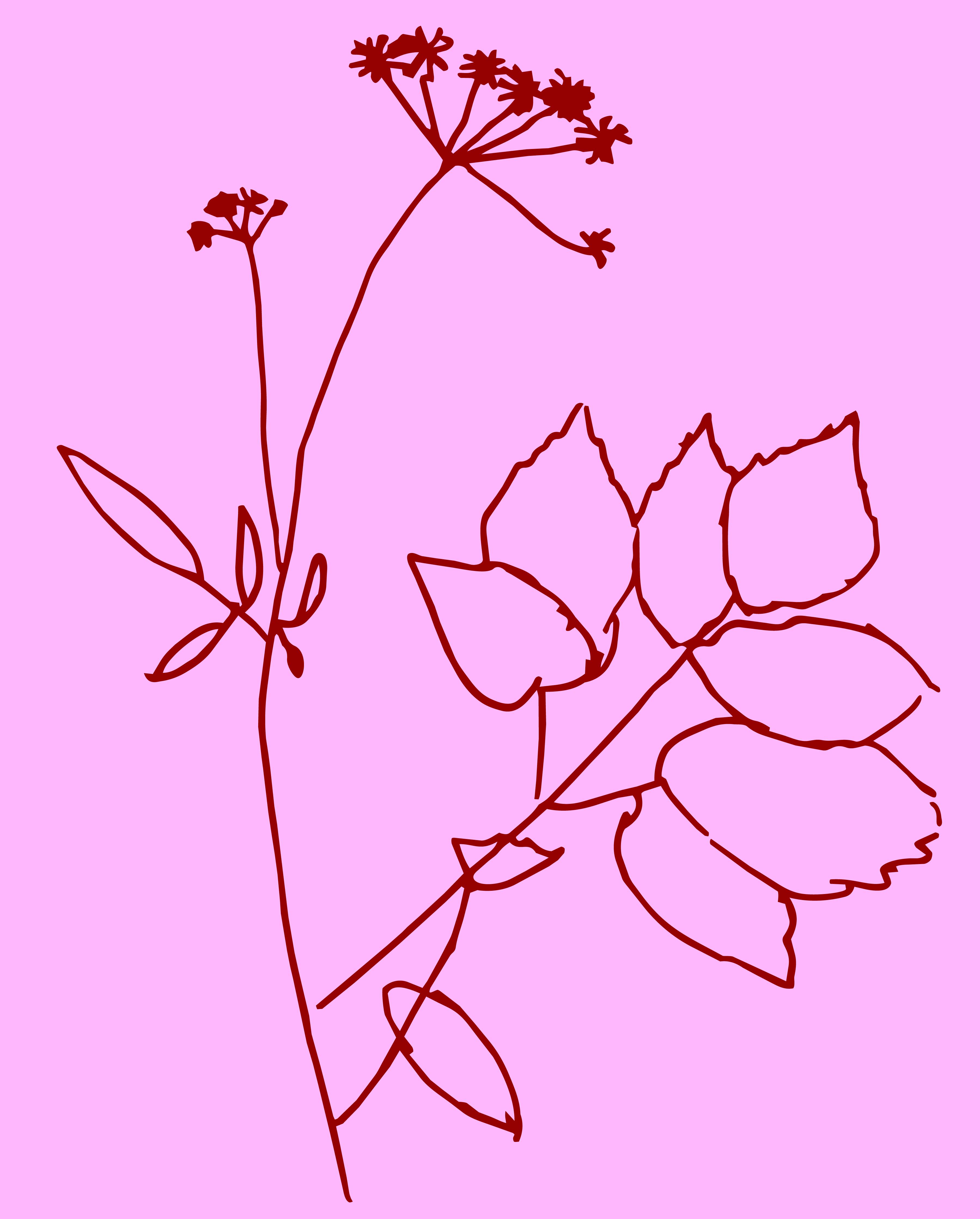 van plant tot print