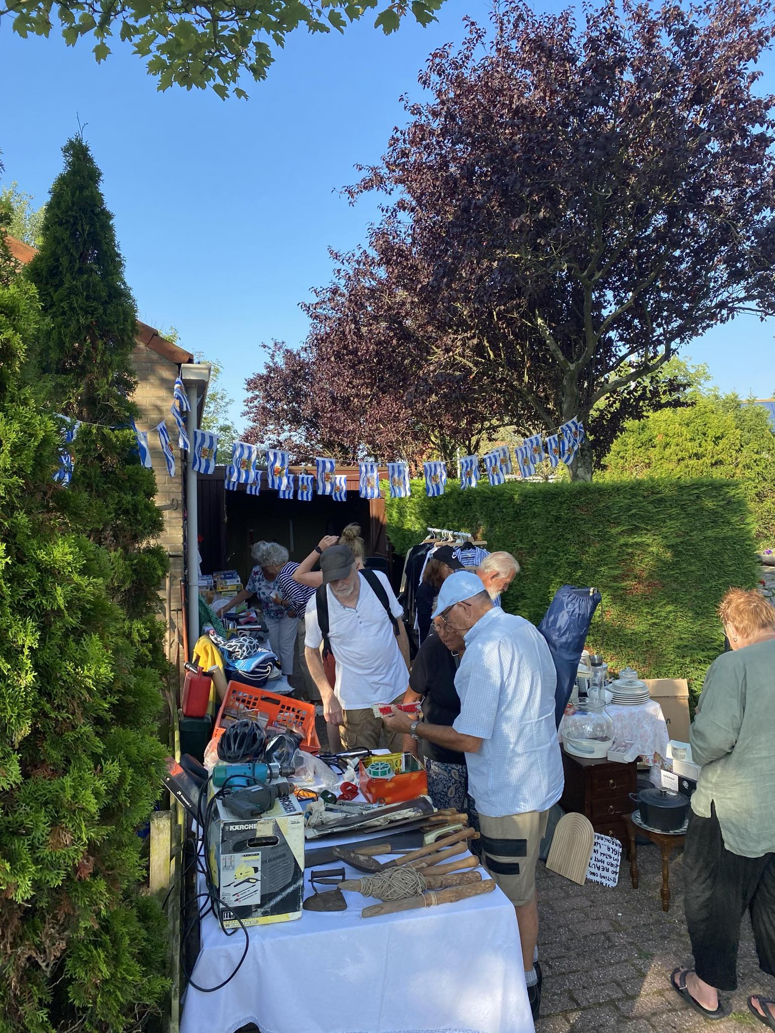 phpl5mrq15aqbv0fry6WbS