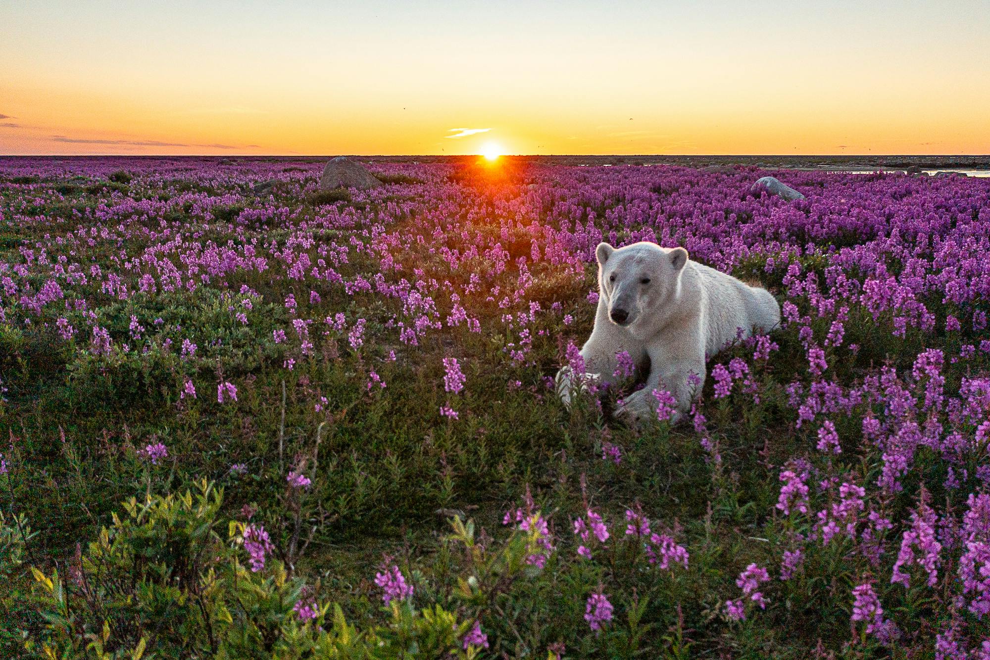 The Greatest Photos of the World