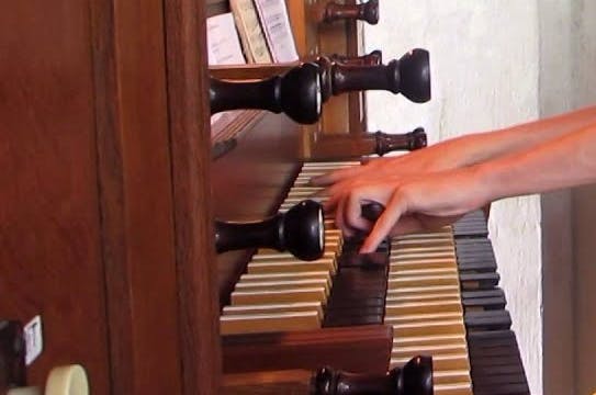 Flentrop-Reil orgel