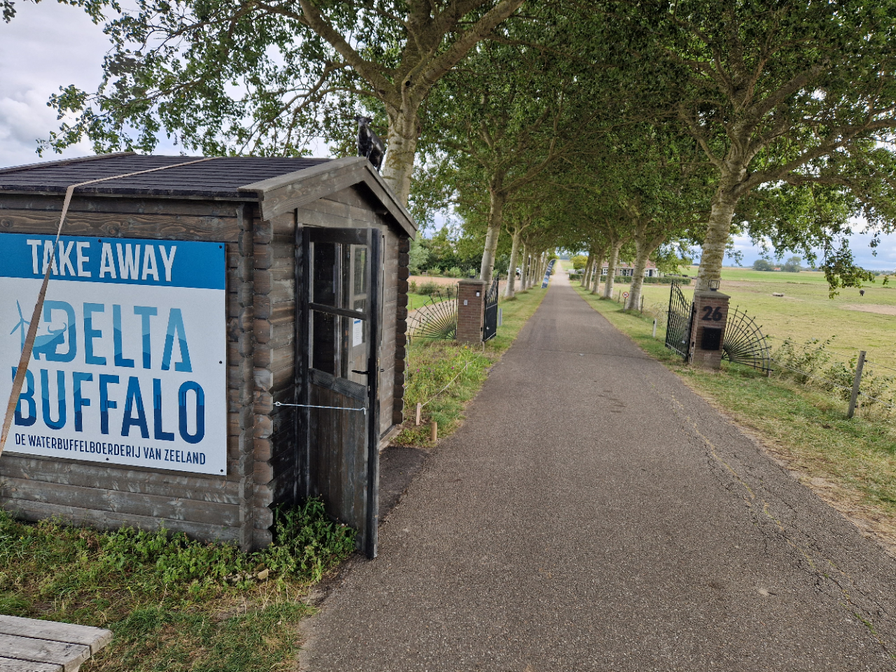 Delta Buffalo