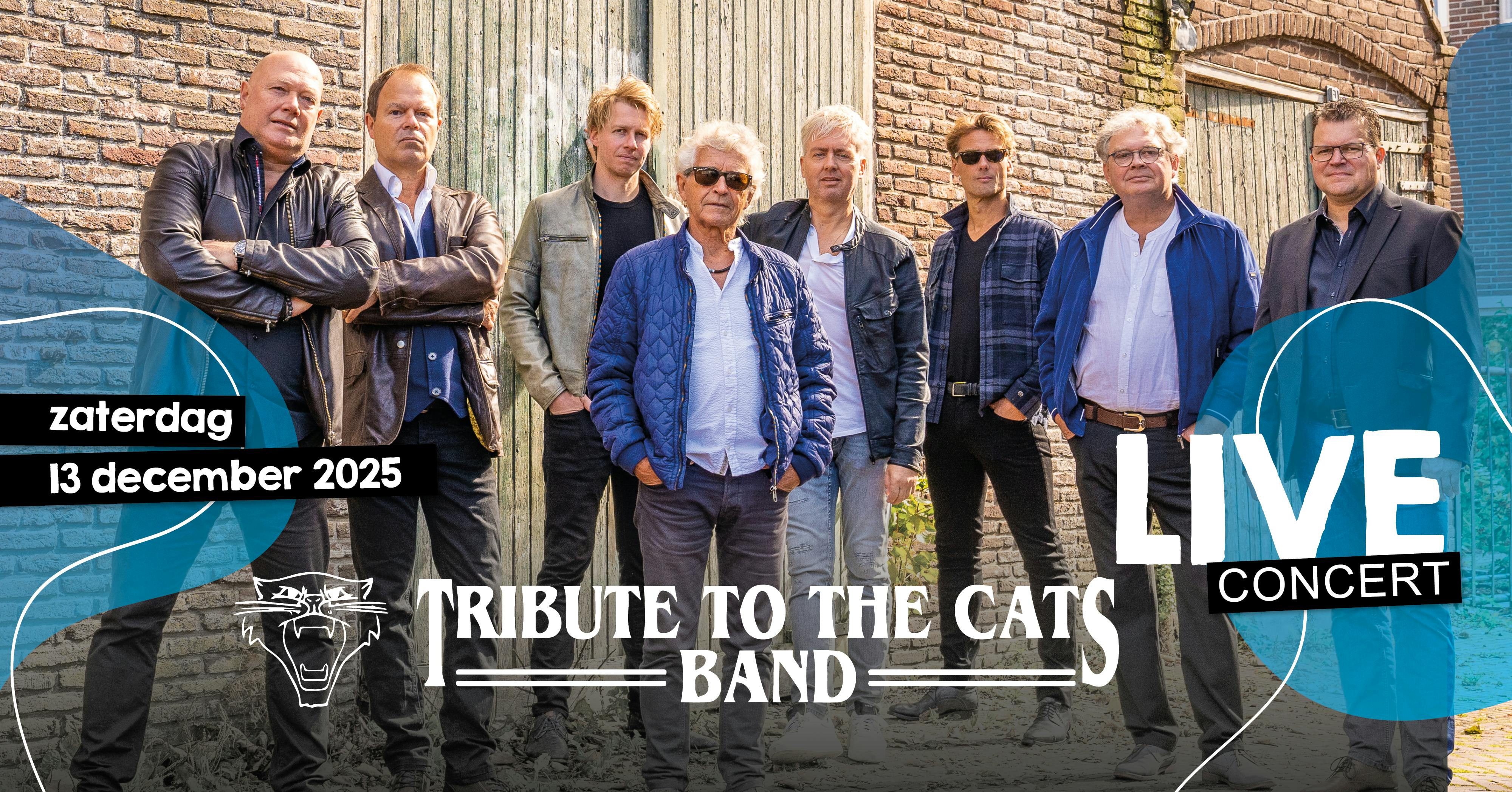 Tribute To The Cats Band