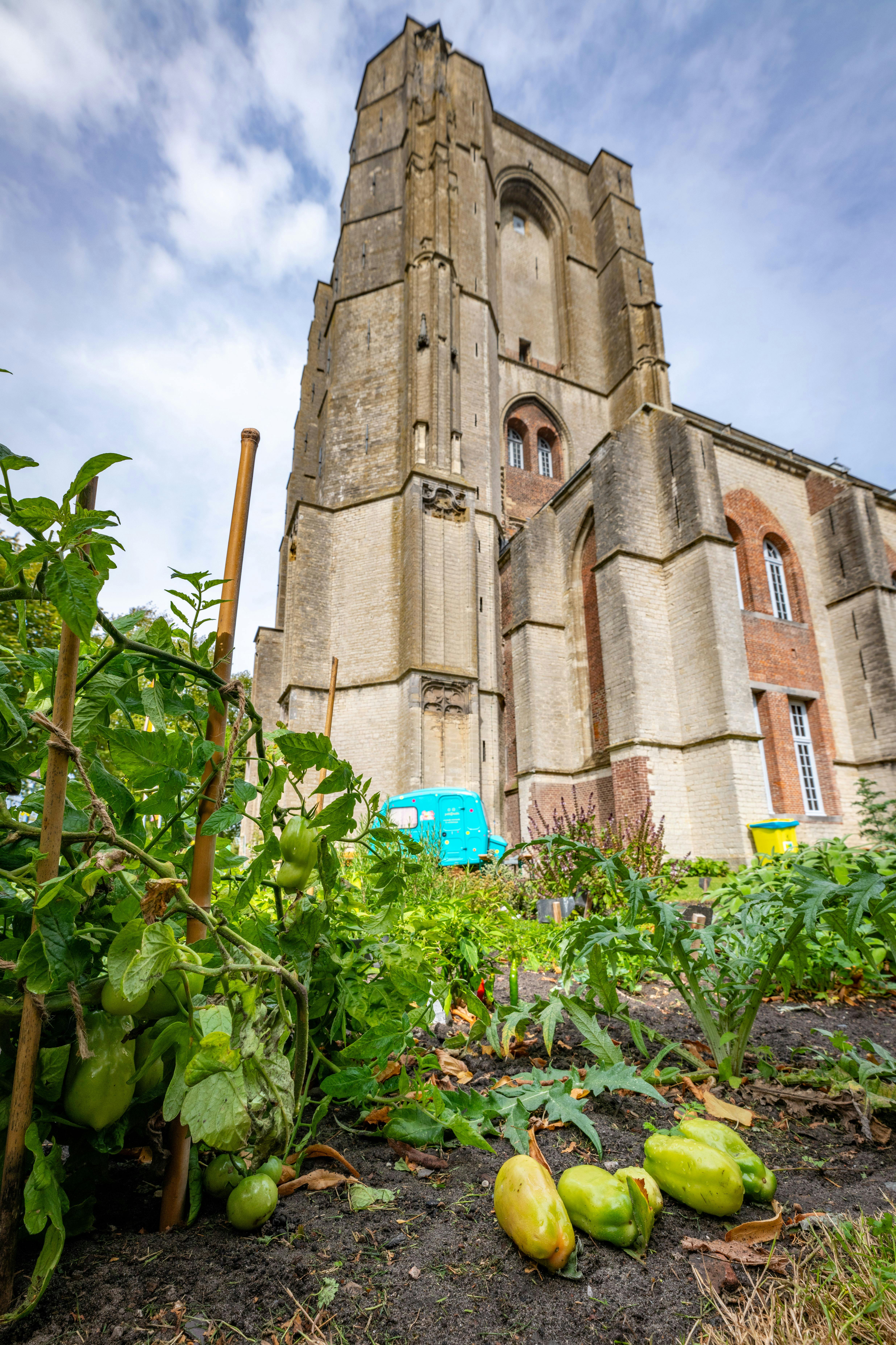 Oogstmarkt Grote Kerk Veere - Benjamin van der Spek