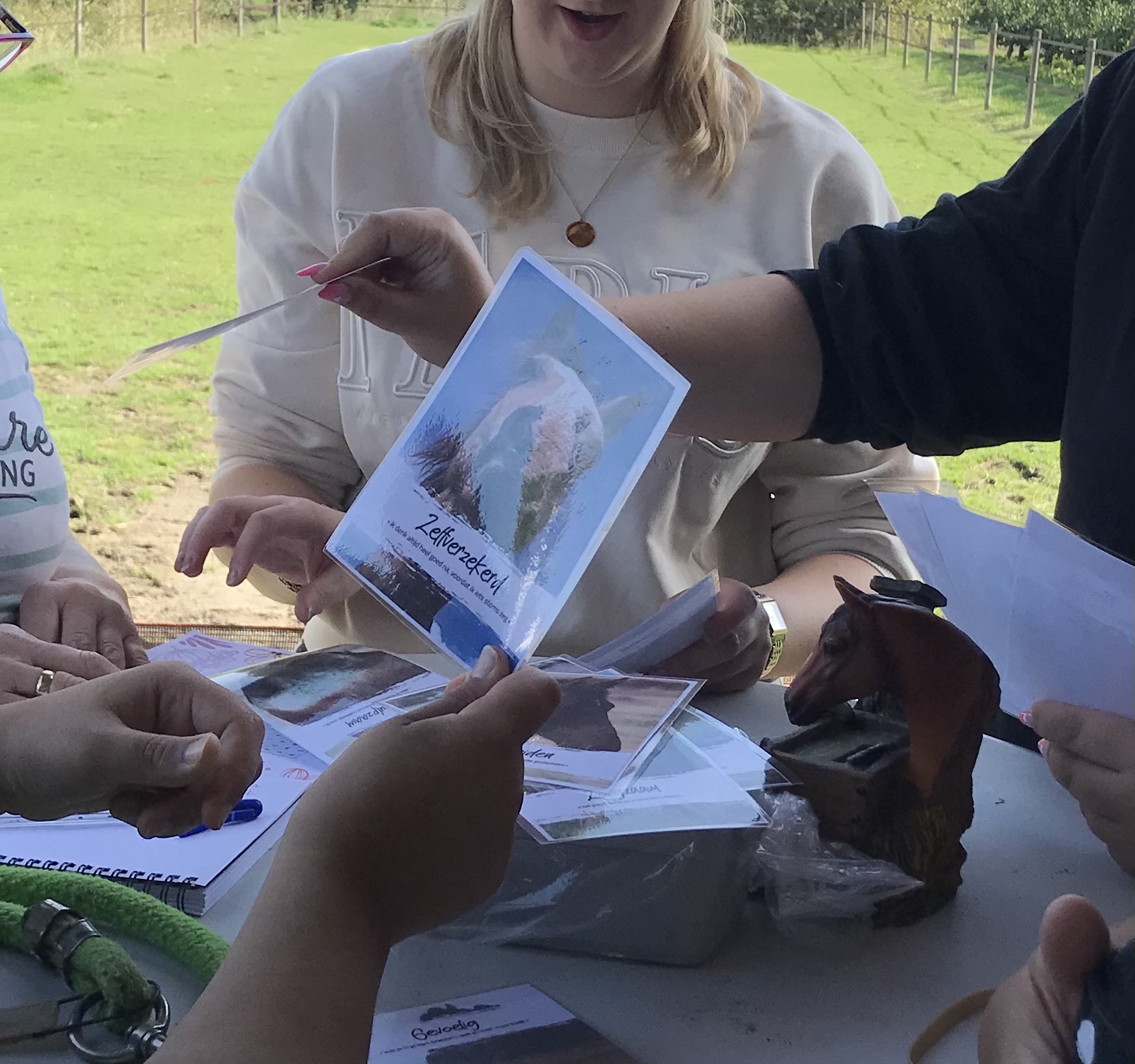 Welke kwaliteiten zet jij in?