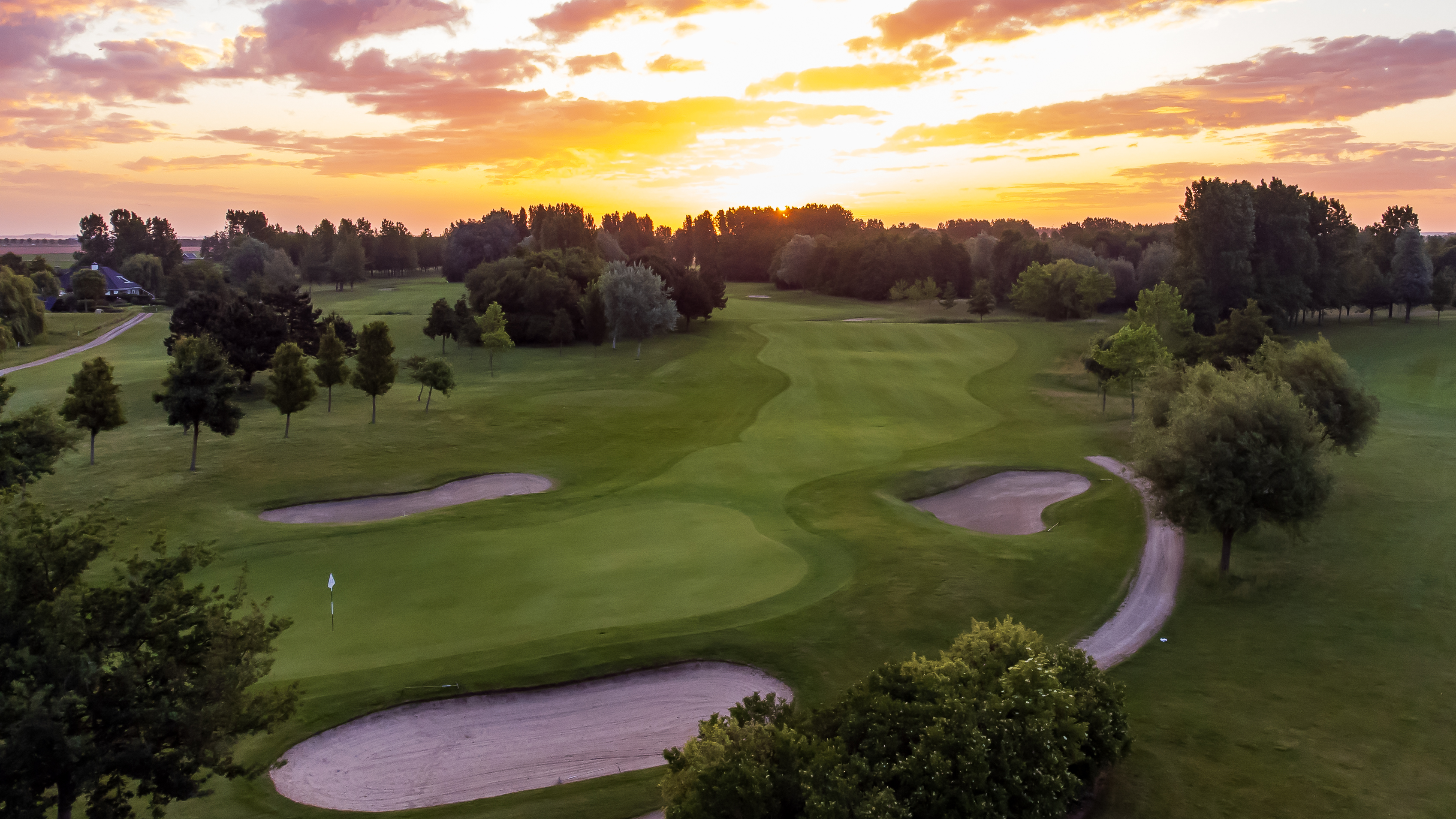 Goese Golf 3