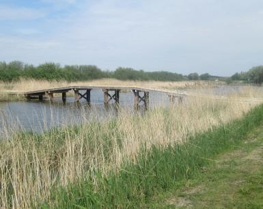 Groese polders (3).jpg