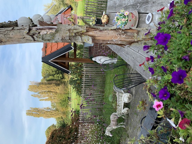theetuin, gezellig, uitzicht, rust