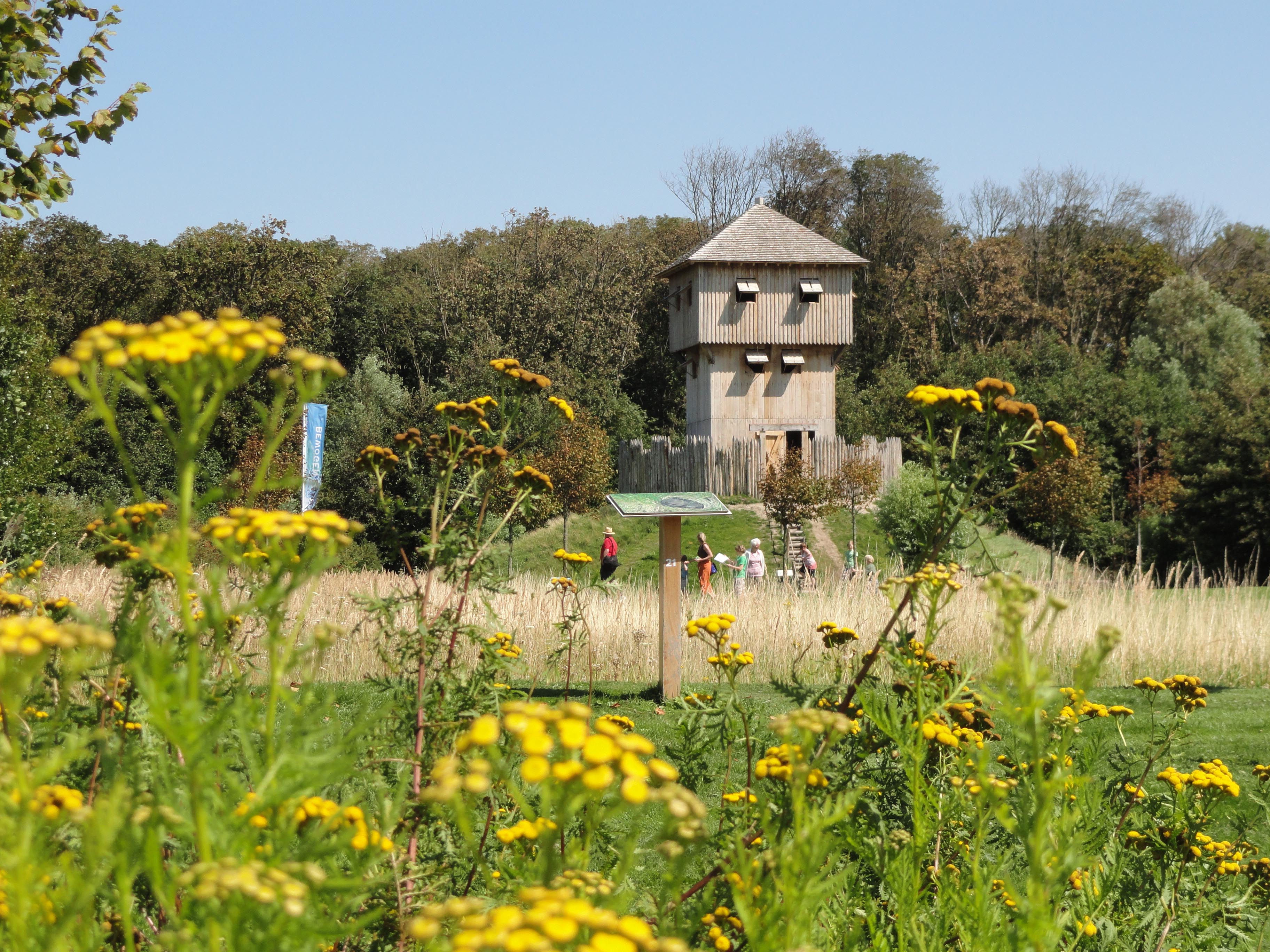 landschapstuin in zomerkleed