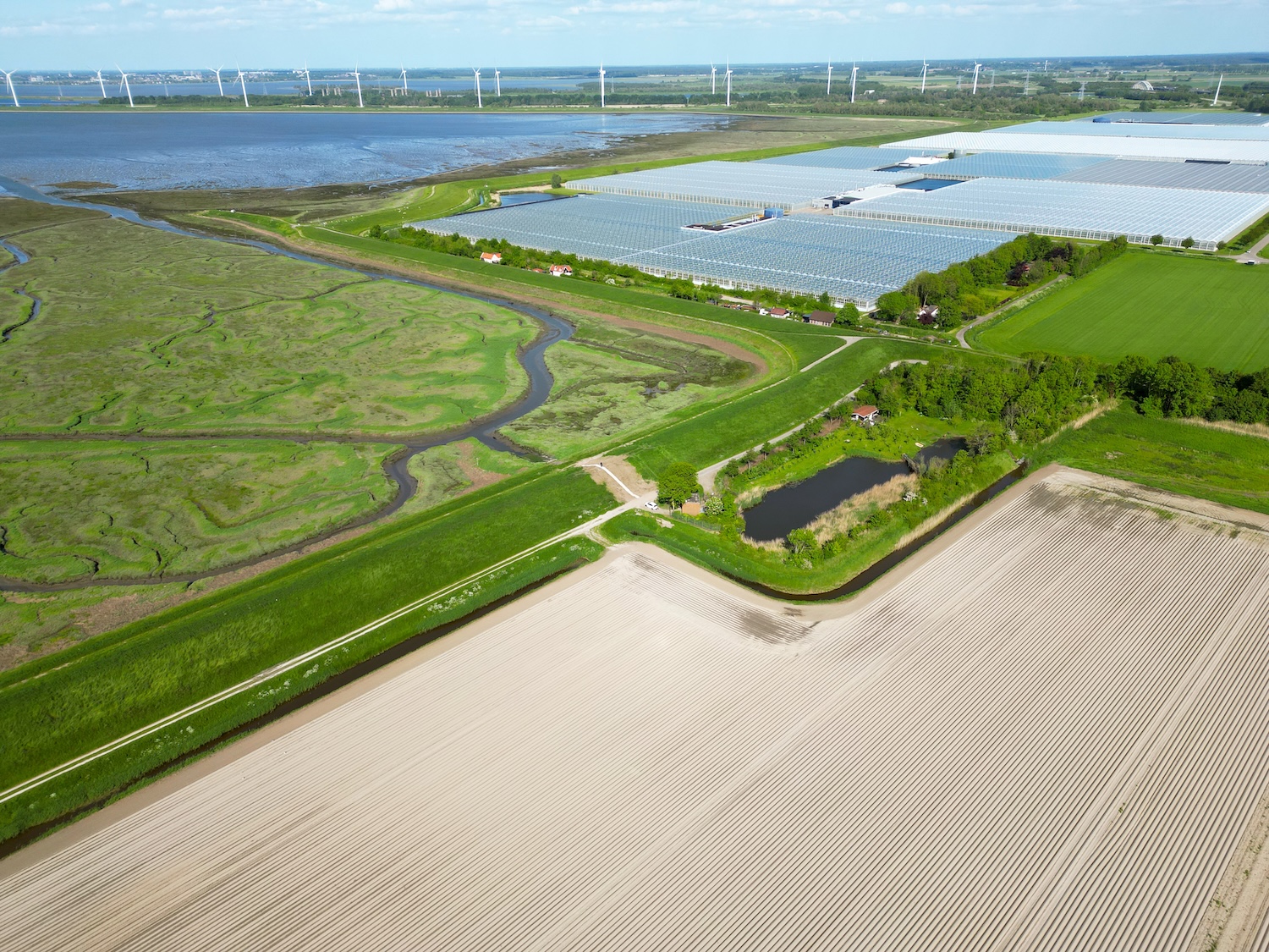 Panoramaheuvel Groot Saeftinghe