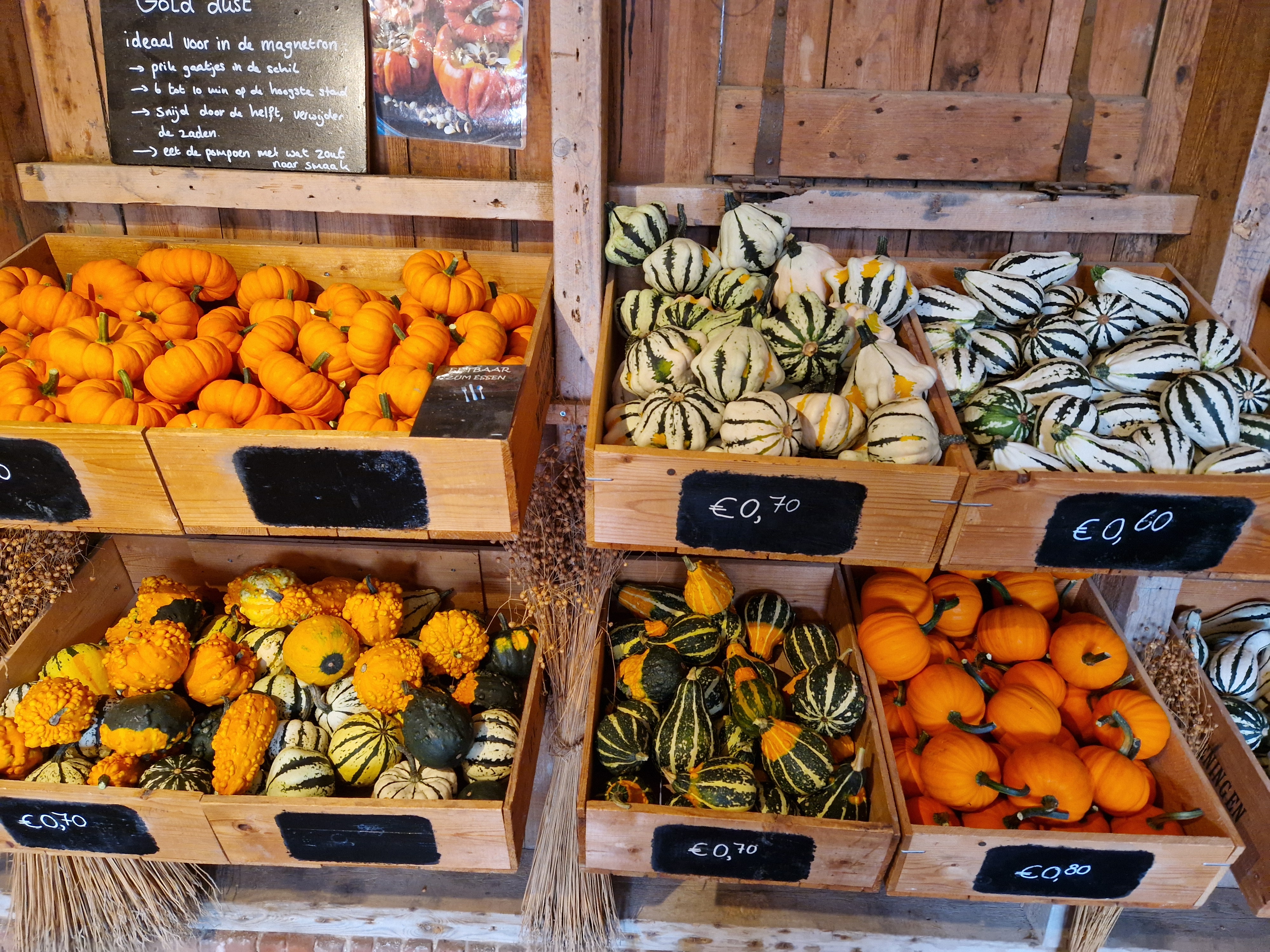 Pompoenwinkel