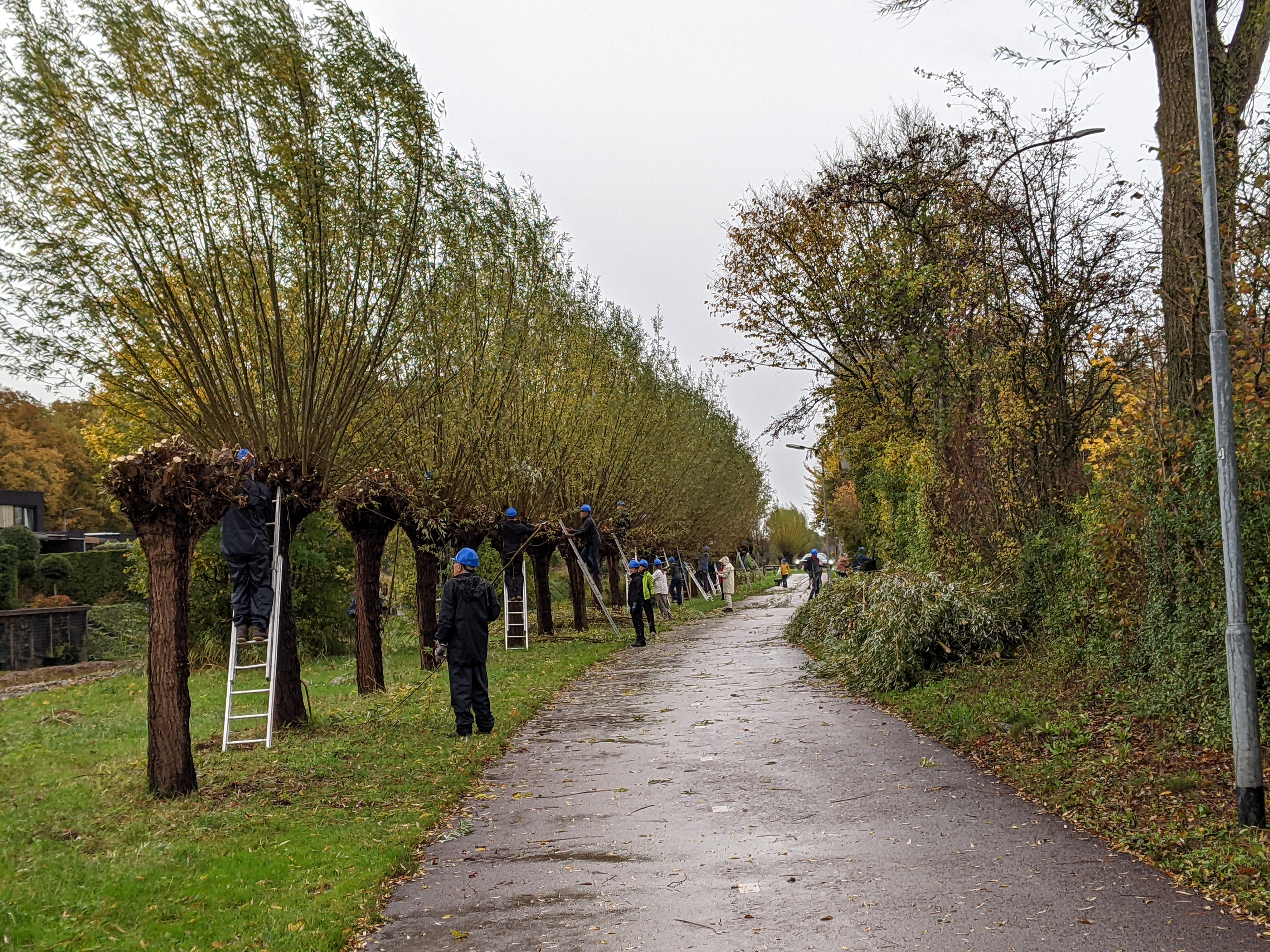 Natuurwerkdagen 2025