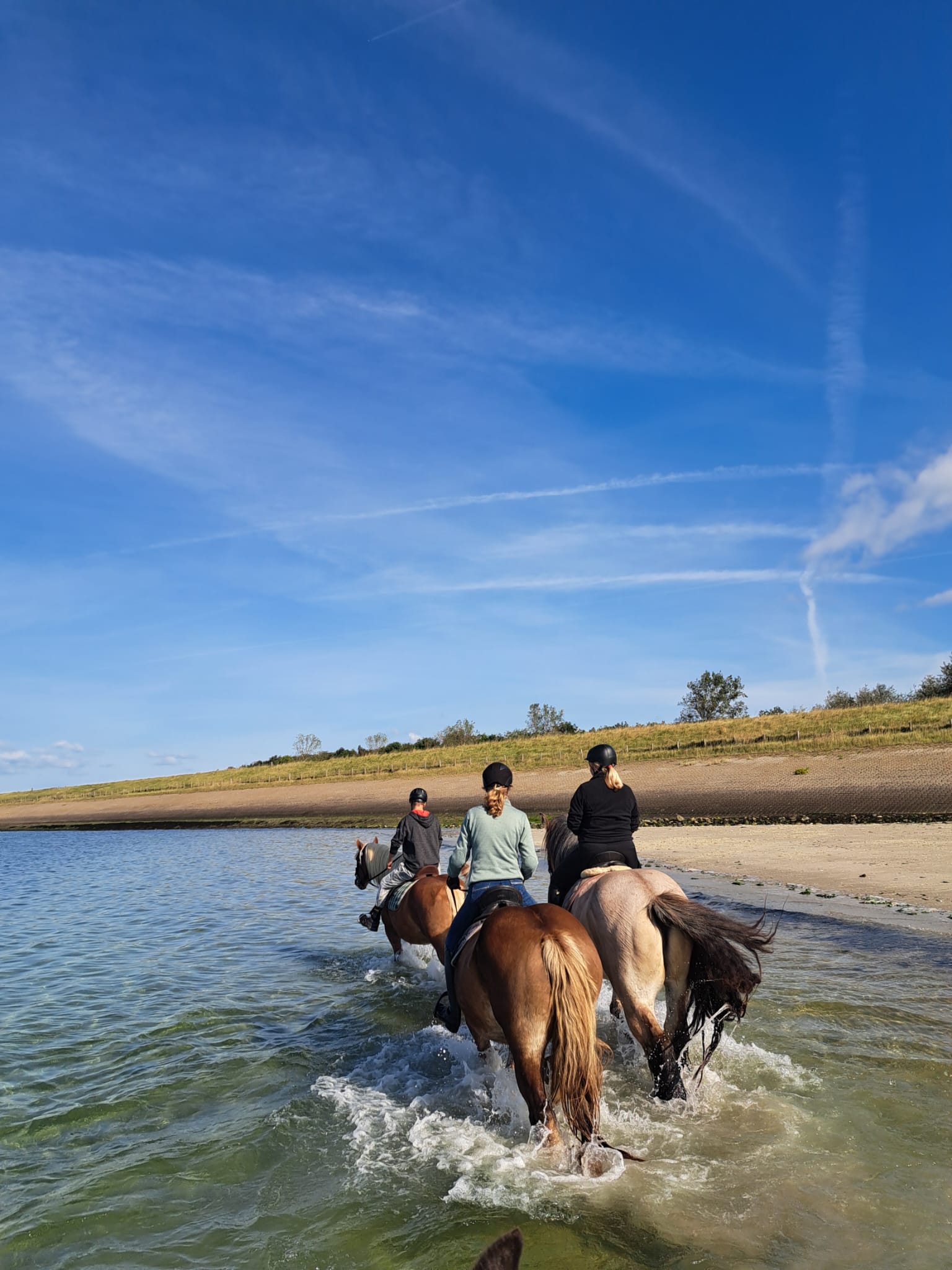 Paardrijrit op een trekpaard