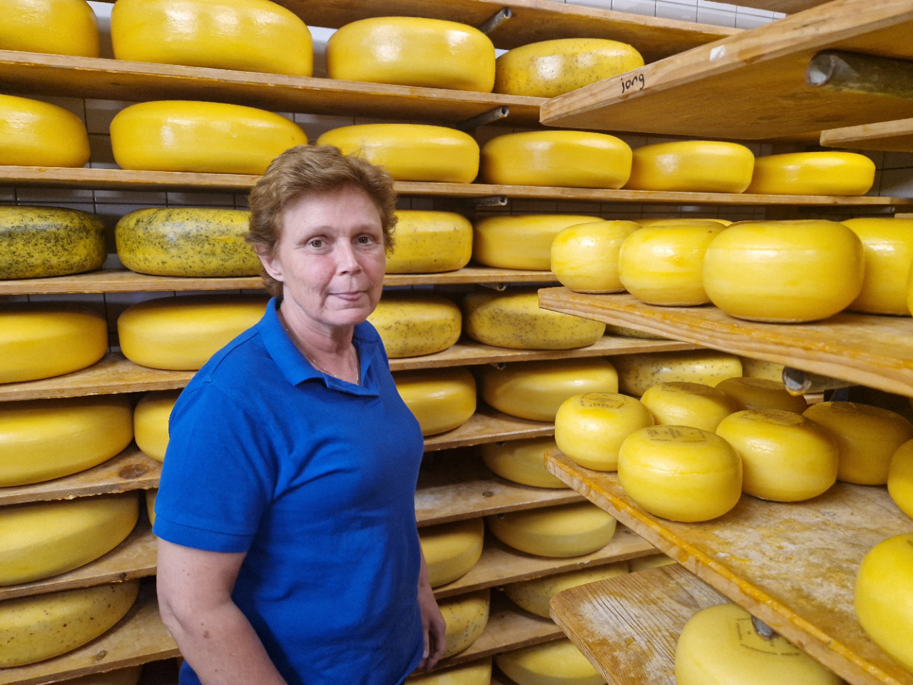 Kaasboerderij Ternisse