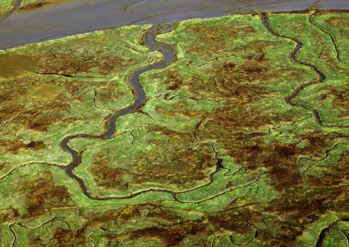Verdronken Land van Saeftinghe