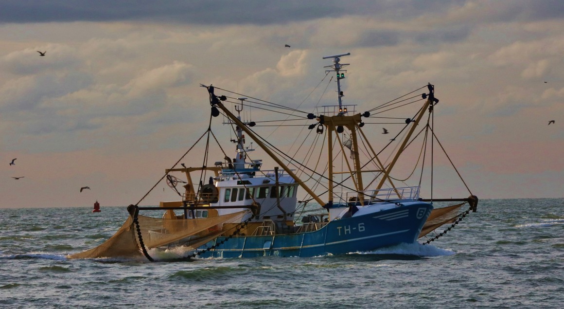 Vissersboot Tholen