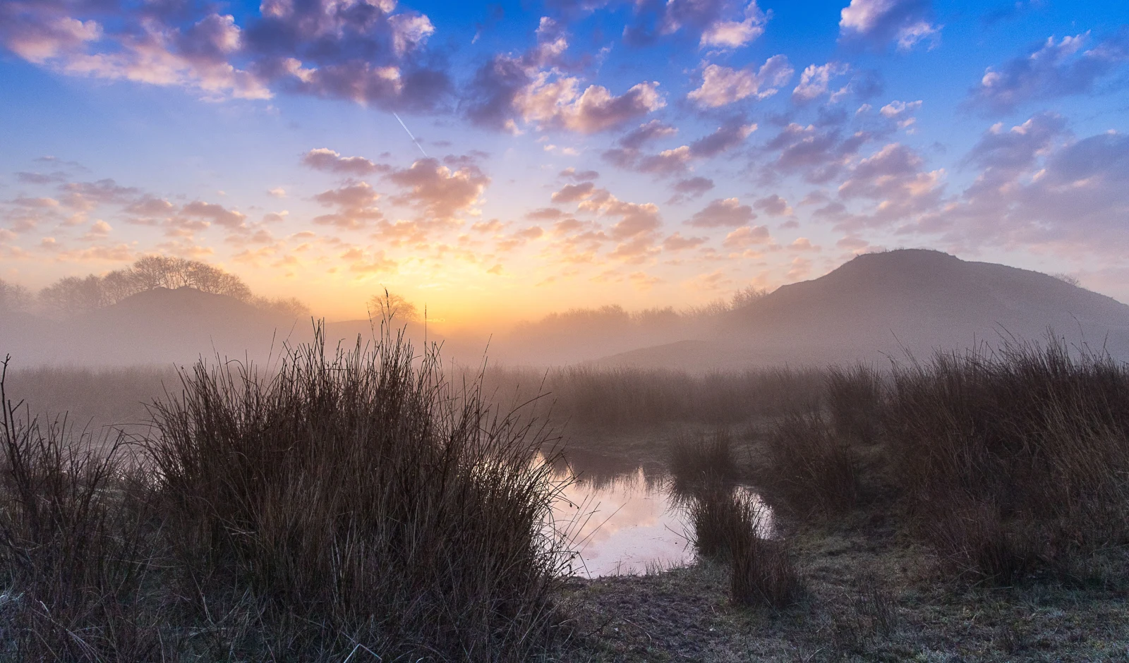 Winterse wandeling Slot Haamstede