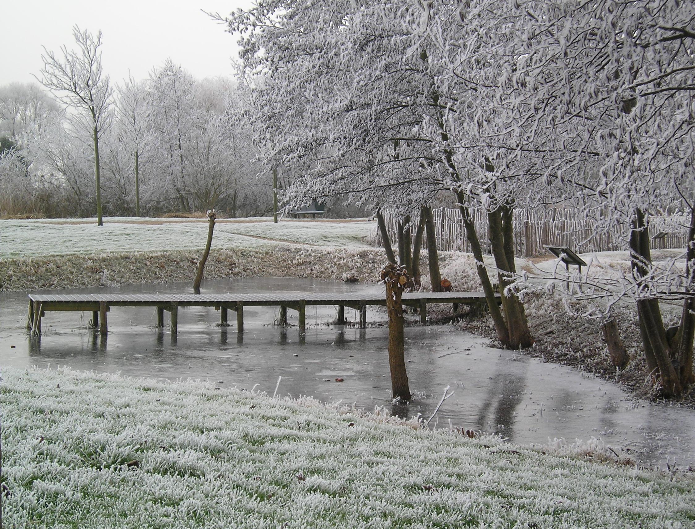landschapstuin in winterkleed