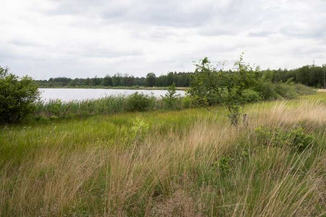 Wandelroute Eesmeer