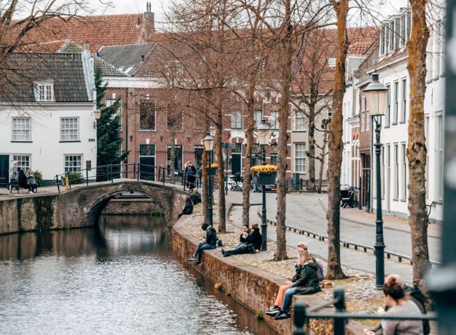 Picknicken Amersfoort - Header