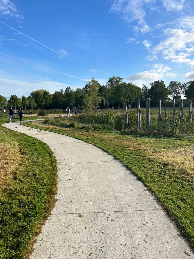 paadje Harlinger bos