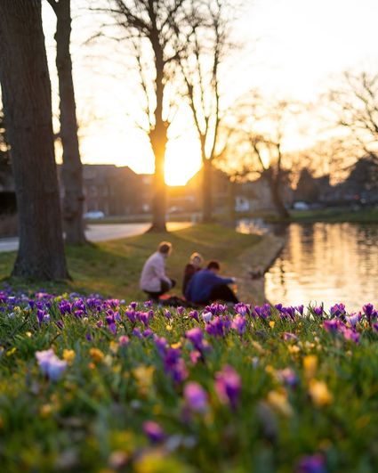 Lente in het Leidse singelpark