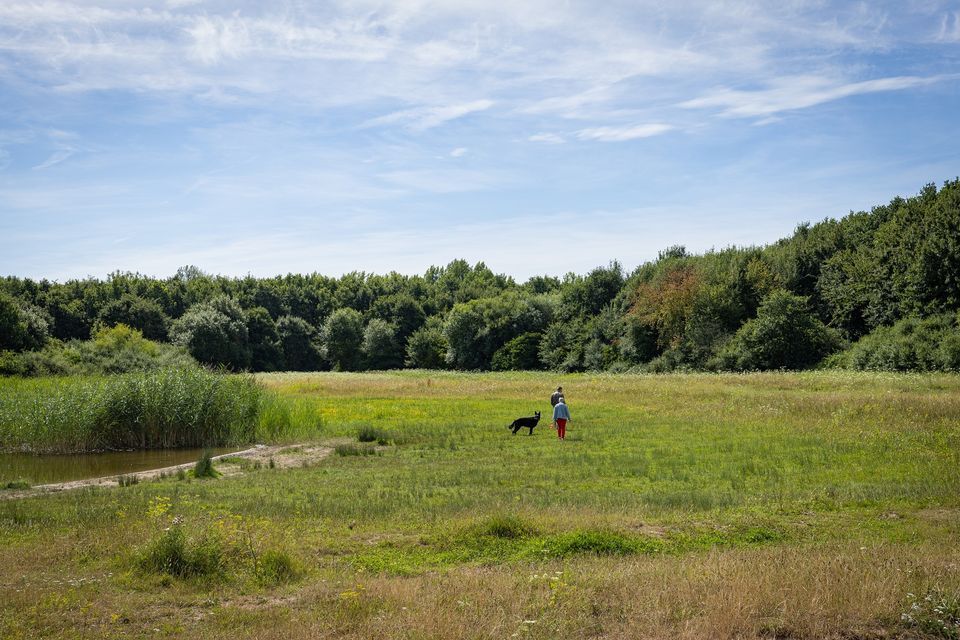 Wijds zomers zicht over de velden bij de plassen in het IJsselbos. In de verte wandelt iemand met een hond.