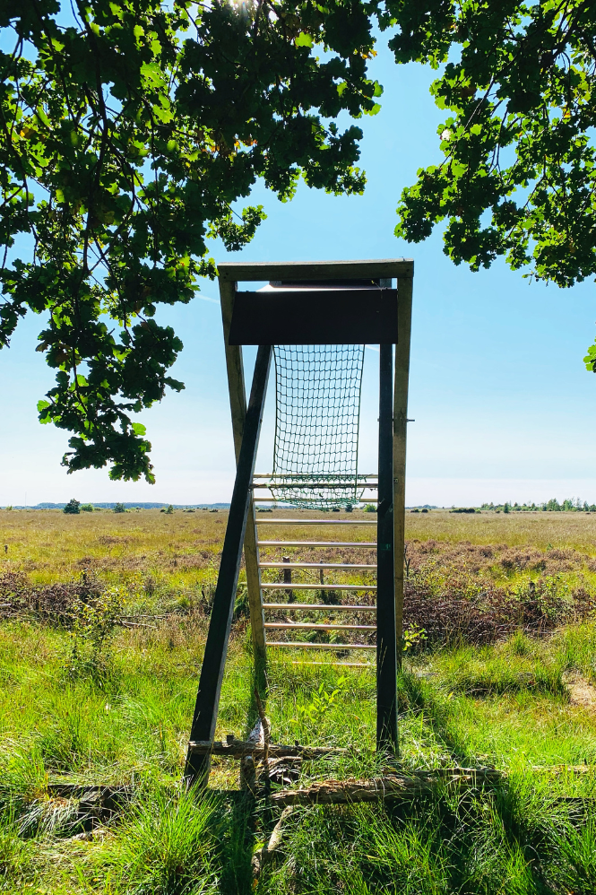 Een hoge stoel in het landschap